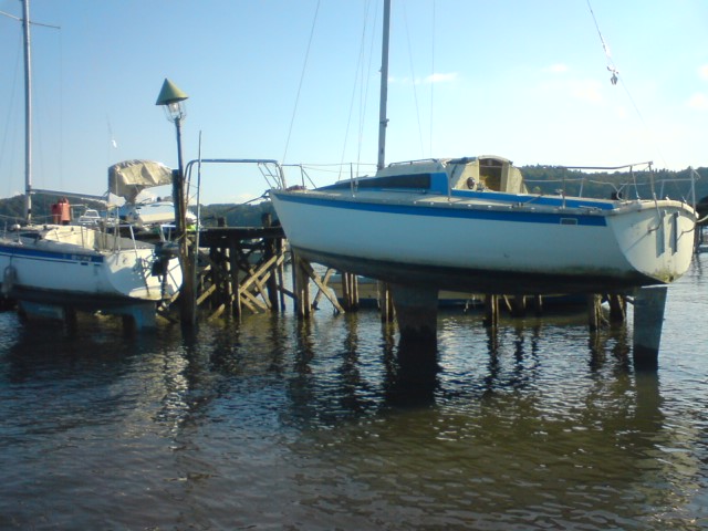 微妙…_a0040876_171667.jpg
