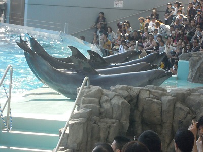 名古屋港水族館_a0235077_20191147.jpg