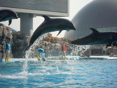 名古屋港水族館_a0235077_20221648.jpg