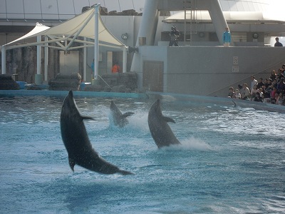 名古屋港水族館_a0235077_20223144.jpg