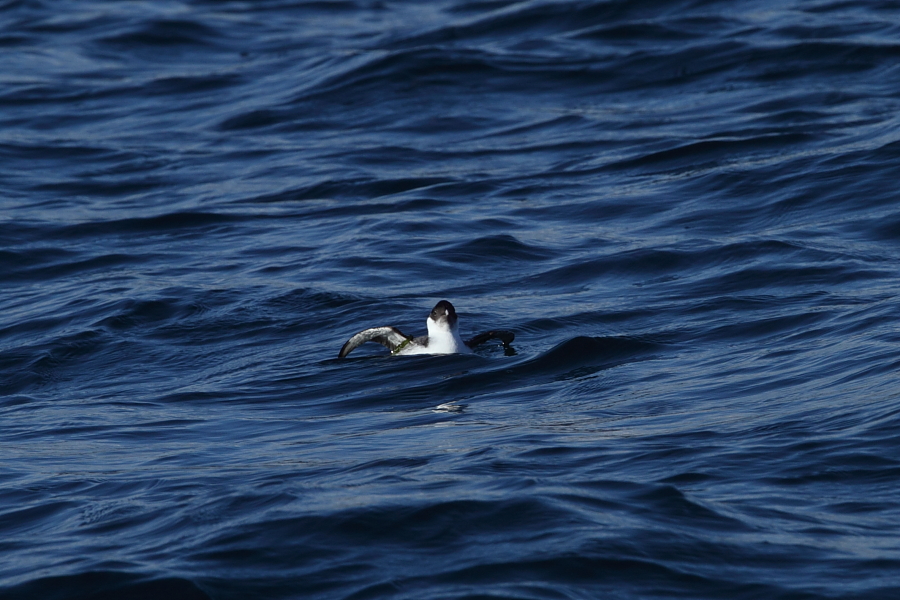 a0167480_8491091.jpg