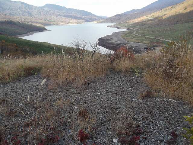 c0212083_22264568.jpg