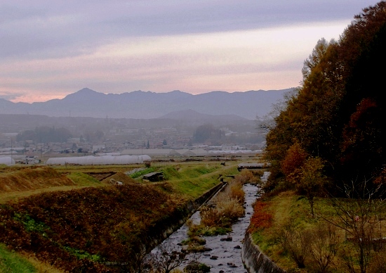 e0183783_21614.jpg