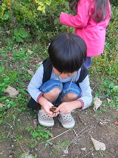 福島子どもプロジェクト第4回・秋の編_f0069883_2214099.jpg