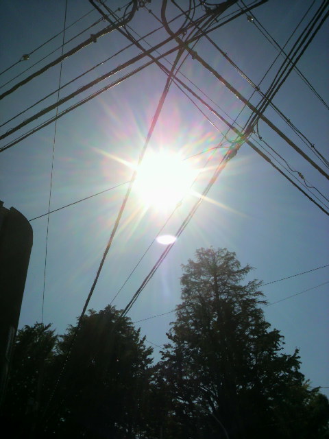 『快晴とグレープフルーツ』_a0075684_1112871.jpg