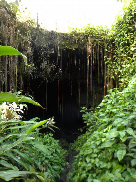 d0258487_9262458.jpg