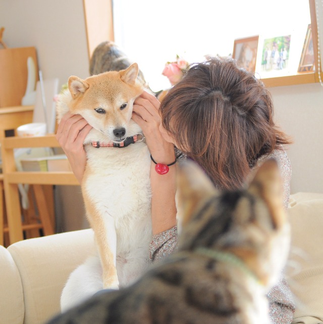 私の愛しいかぼちゃん_a0126590_1027840.jpg