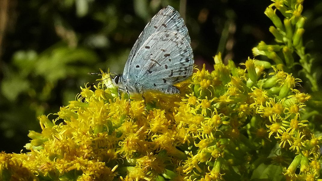 a0152692_18245214.jpg