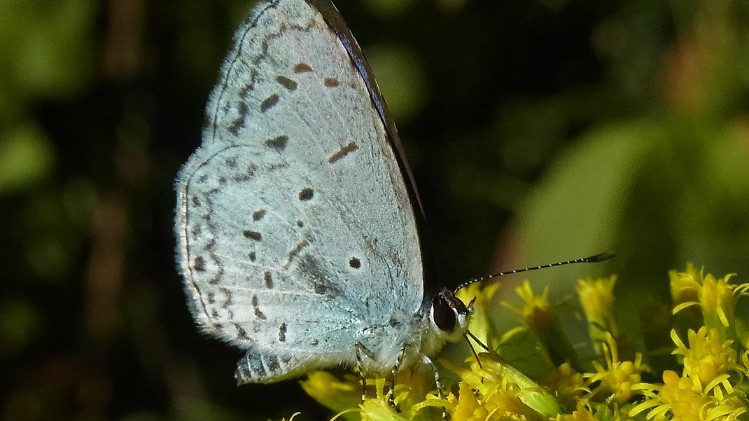 a0152692_1825252.jpg