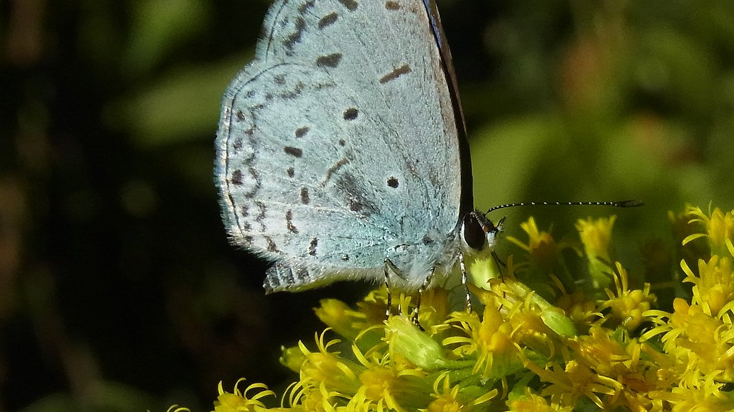 a0152692_18253682.jpg