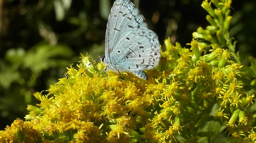 a0152692_182545.jpg