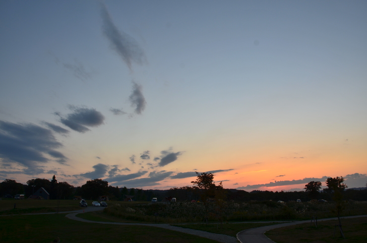 f0082592_2035512.jpg