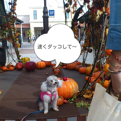 b0237894_13305384.png