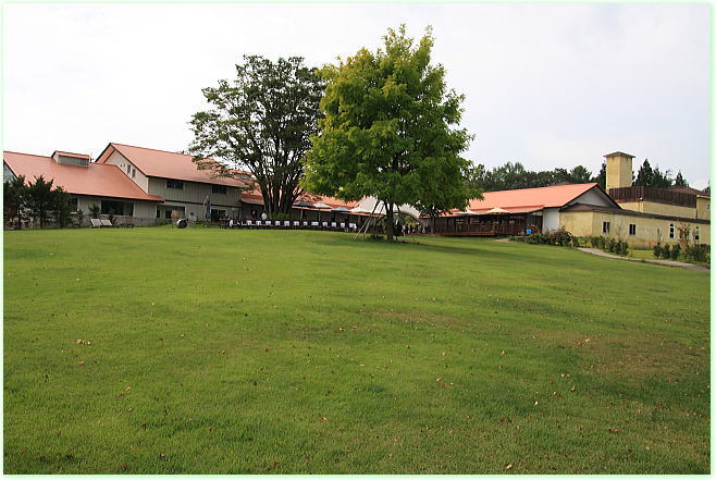 b0115497_14271479.jpg