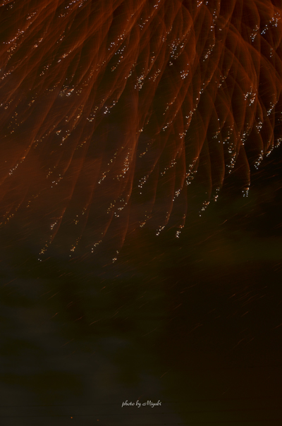 a0161698_23504625.jpg