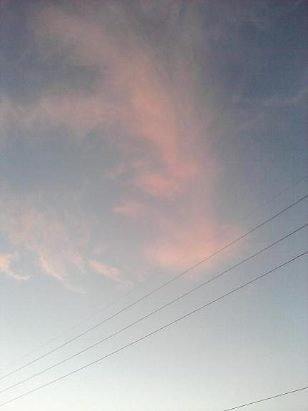 a0293798_20374225.jpg