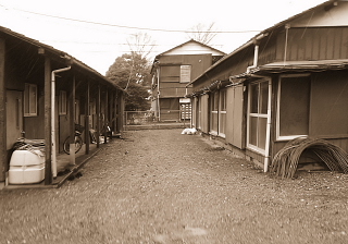 c0039501_15192984.jpg