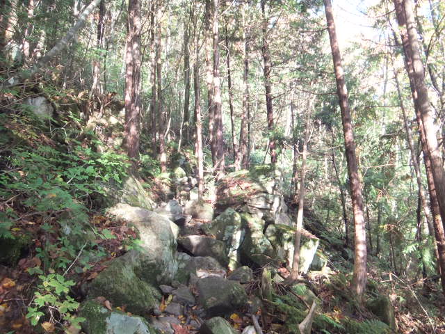 a0271502_13591369.jpg