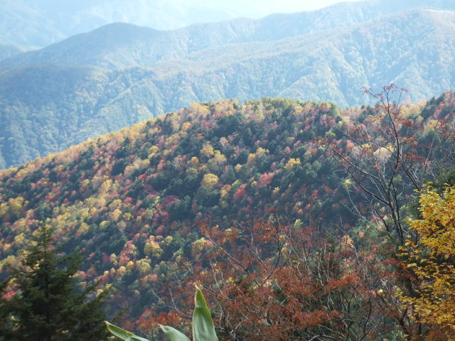 a0271502_1458248.jpg