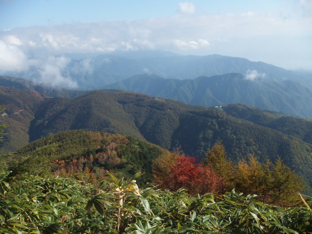 a0271502_1474649.jpg