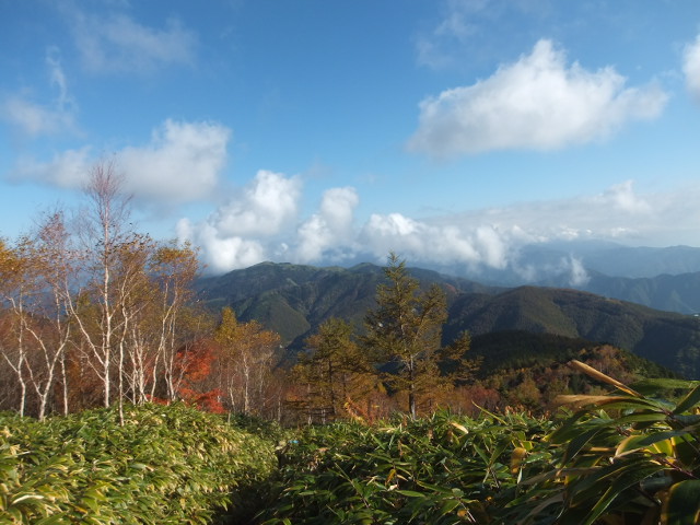 a0271502_147639.jpg