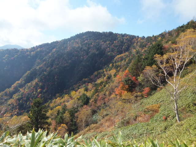 a0271502_1481168.jpg