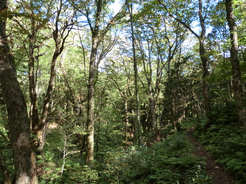 e0242504_20281716.jpg