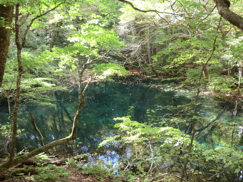 e0242504_20352621.jpg