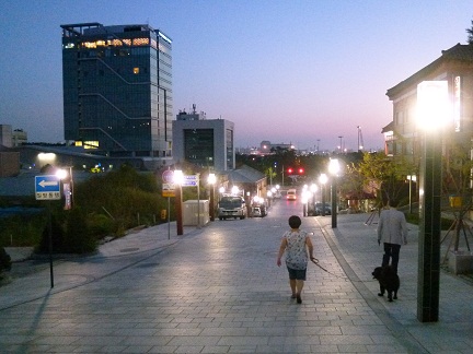 a0140305_126178.jpg