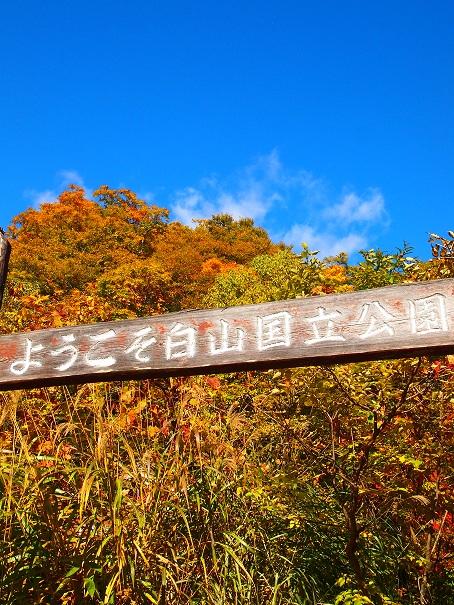 平瀬道の紅葉_b0213806_16501525.jpg