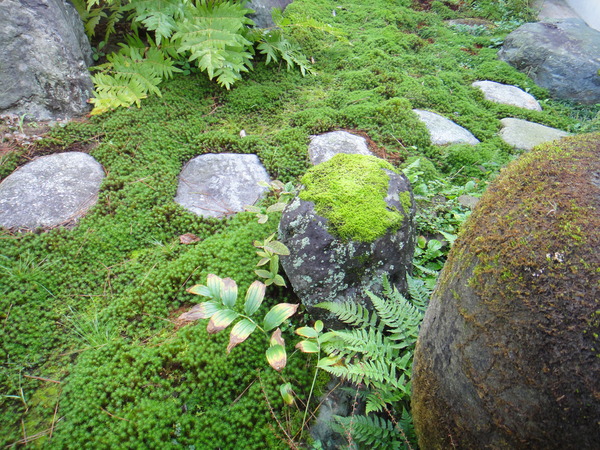 c0105306_1952110.jpg