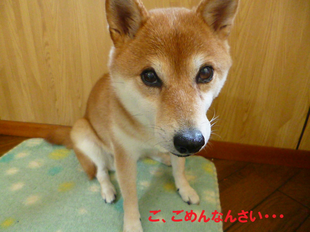 e0131506_8524169.jpg