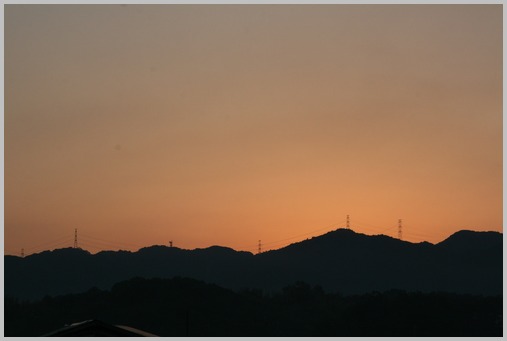 a0206808_954535.jpg