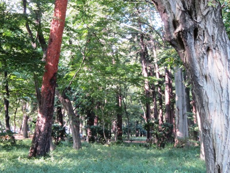 e0204508_2136124.jpg