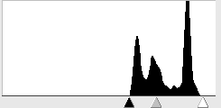d0127209_12411650.png