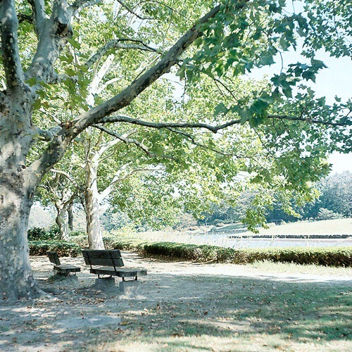 e0202310_11152031.jpg