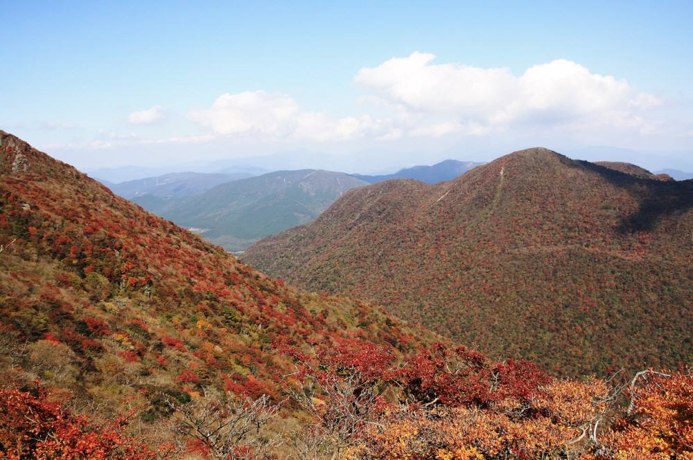 f0212511_22323620.jpg