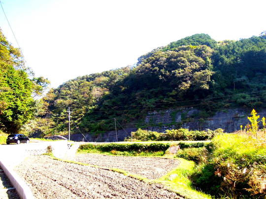 a0158613_17484211.jpg