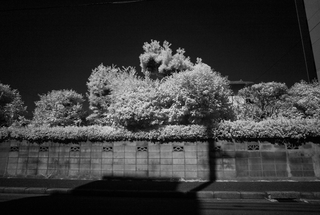 TRI-ELMAR 16-18-21mm IR76ド━(゚Д゚)━ン!!_b0125014_23273883.jpg