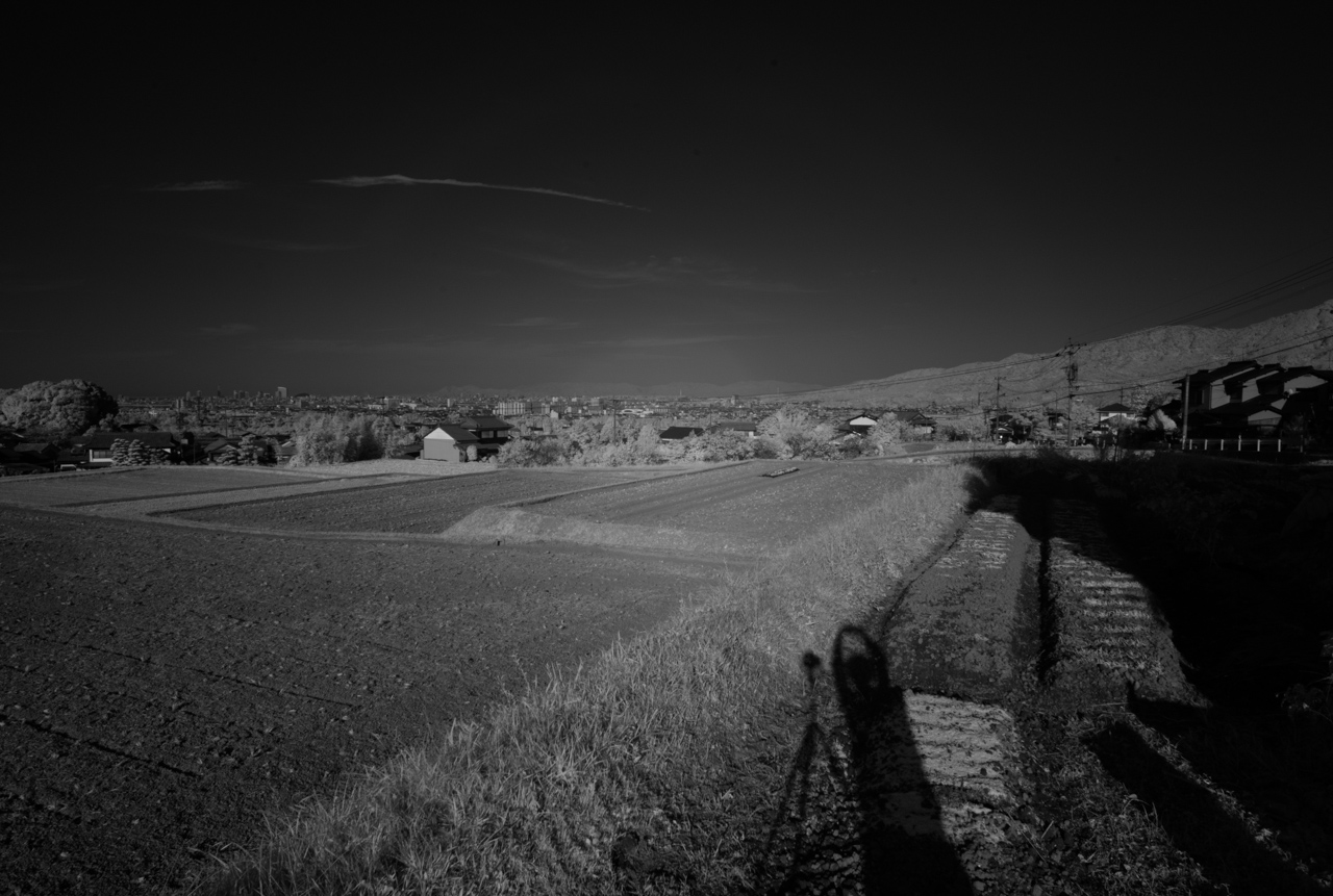 TRI-ELMAR 16-18-21mm IR76ド━(゚Д゚)━ン!!_b0125014_23345241.jpg