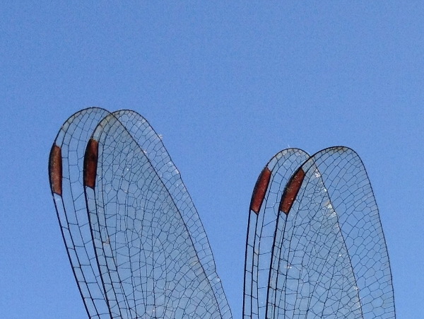 e0002314_22243345.jpg