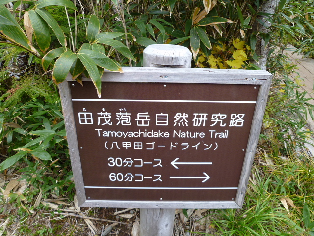 d0170615_8132215.jpg