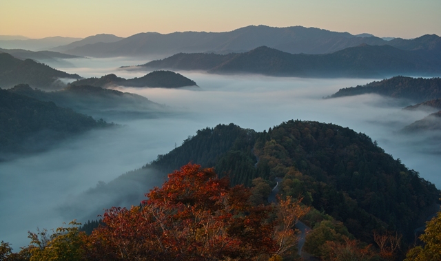 ヒンヤリの朝・2.5、晴れ　　　　朽木小川・気象台より_c0044819_837533.jpg