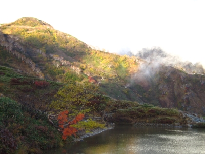 f0177521_1096100.jpg