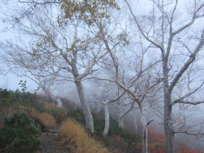f0177521_13185017.jpg