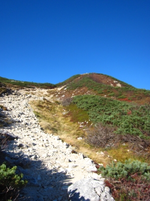 f0177521_1329298.jpg