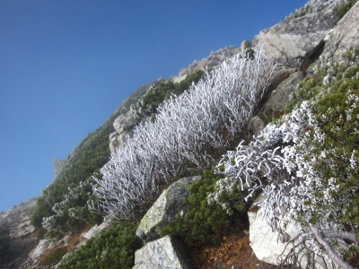 f0177521_14344174.jpg