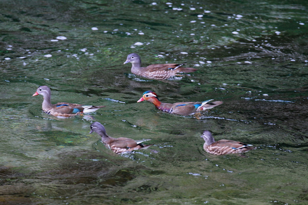 b0179023_2011343.jpg