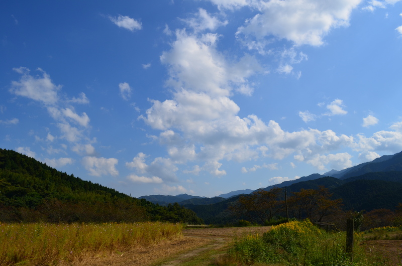 b0279623_22475254.jpg