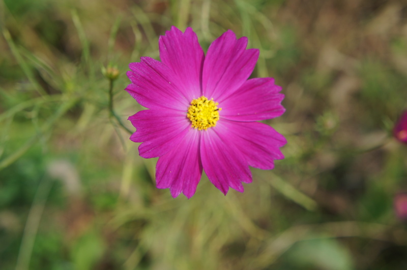 b0279623_22583244.jpg